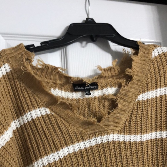 Alison Andrews Brown and White Striped Raw Hem Fall V-Neck Woven Knit Sweater - Picture 4 of 9